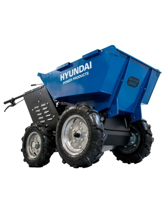 Carretilla HYUNDAI HYMD250-5 - Ademax España