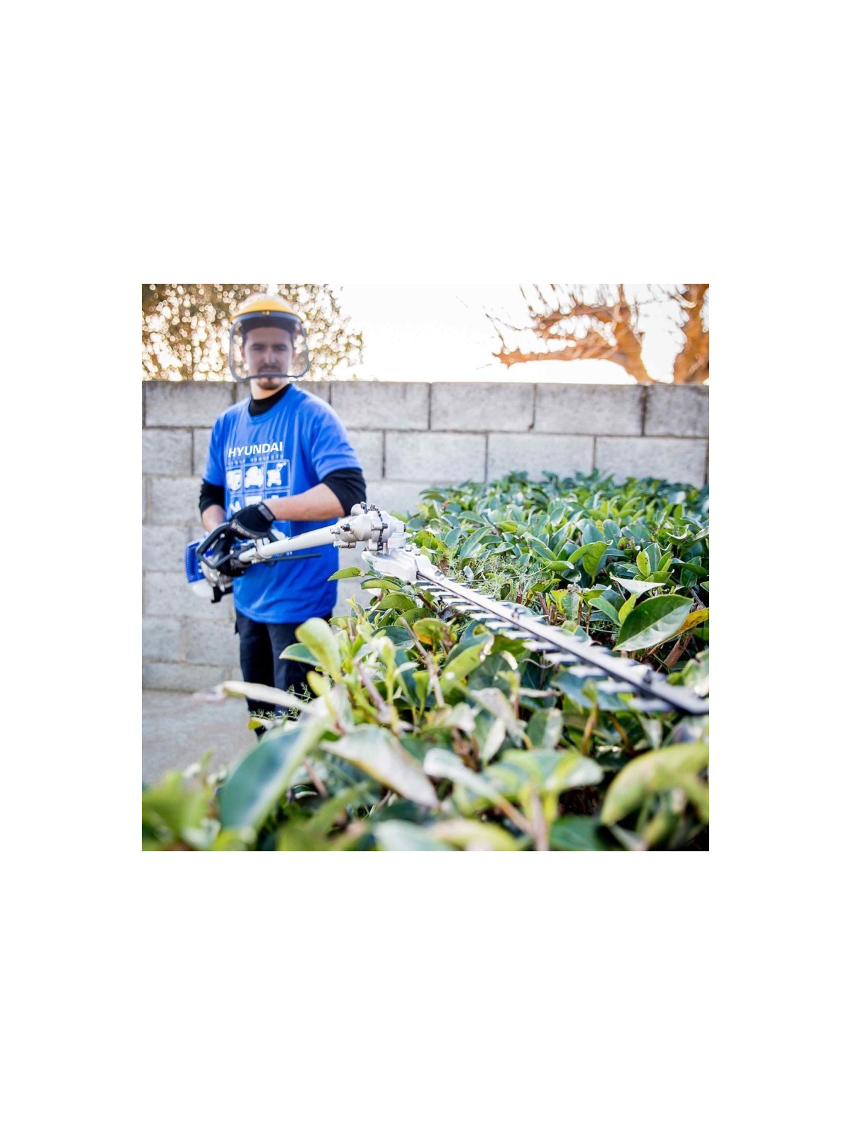 Desbrozadora  4 EN 1 HYUNDAI HYMT5080 - Ademax España