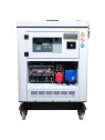 Generador refriguerado por agua ITCPower DG12000XSE - Ademax España