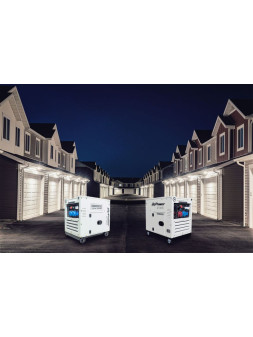 Grupo electrógeno diésel inversor ITC POWER 8,1 kVA 400 V DG9000SEi-T - Ademax España
