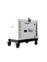 Generador diésel DG14000SE-T de 13,8 kVA de ITC Power