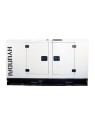 Grupo Electrógeno de16kW Monofasico HYUNDAI DHY18KSEM - Ademax España