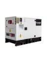 Grupo Electrógeno de 12.5kVA Diesel HYUNDAI DHY14KSE - Ademax España