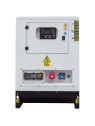 Grupo Electrógeno de 12.5kVA Diesel HYUNDAI DHY14KSE - Ademax España